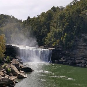 Meet your Posher, Betty